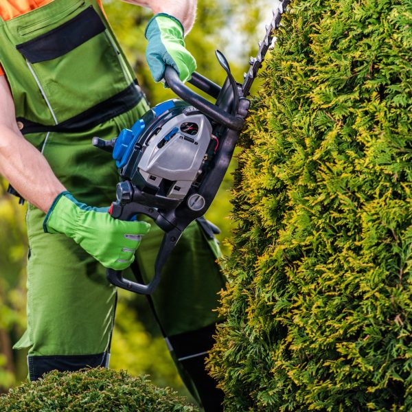 gardener-topiary-job.jpg